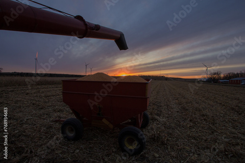 gravity wagon full of corn with combine auger photo