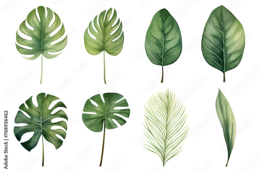 Fototapeta premium Set of tropical leaves, vector, watercolor, variety, ornamental, transparent background