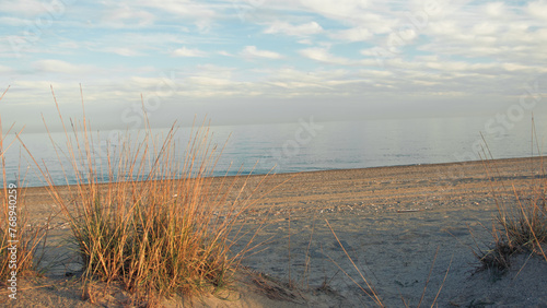 Beach And Dry Plants On The Coast With Ocean Background