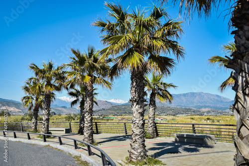 Palmy na tle niebieskiego nieba, wakacyjne klimaty. Hiszpania, Andaluzja. W oddali ośnieżone góry, Sierra Nevada.  © Anita
