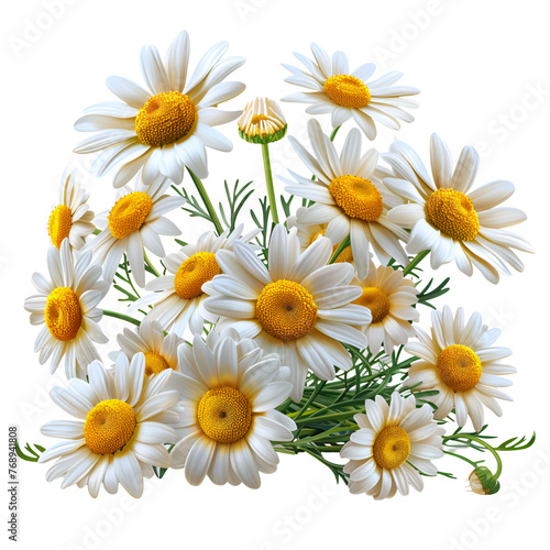 bouquet of daisies