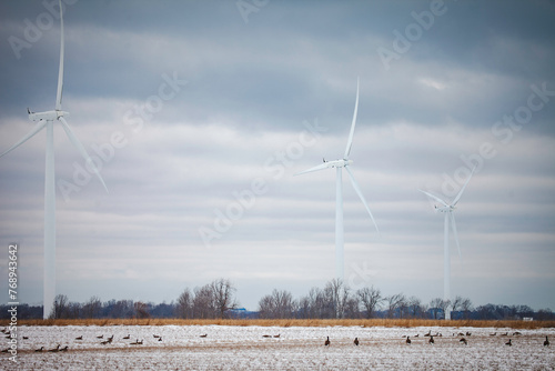 Wind turbines in a row with Canada Geese along the field below.