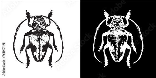 Illustration vector graphics of Buggys icon
