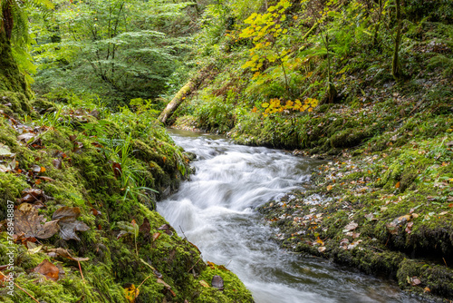 waterfall in the forest