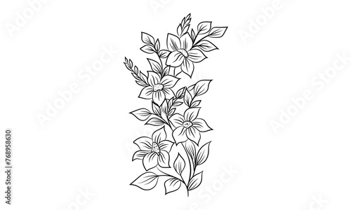 Hand Drawn Flower illustration, Vector outline