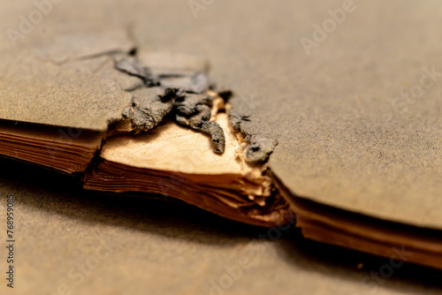 zniszczony fragment książki lub notesu