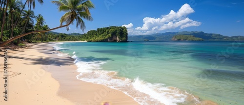  Sandy beach beside ocean, palm trees in foreground, distant mountain range