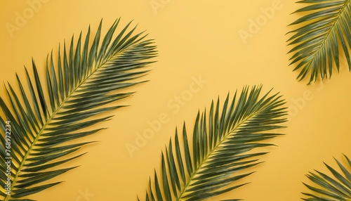 Green palm leaves pattern for nature concept tropical coconut tree isolated on yellow background