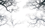 Mysterious Mist: Halloween Overlay,PNG Image, isolated on Transparent background.