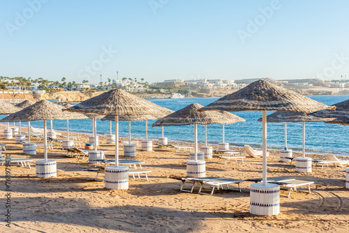 Sunny resort beach with palm tree at the coast shore of Red Sea in Sharm el Sheikh, Sinai, Egypt. Bright sunny light.