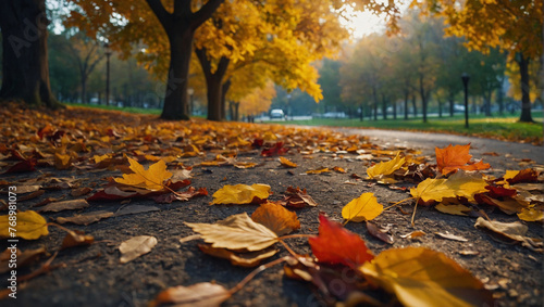 Autumn Landscape 