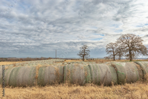 round hay bales in a field 