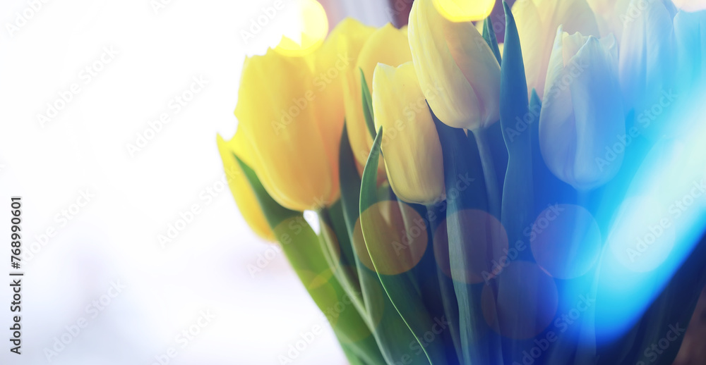 Obraz premium Abstract flower background with bokeh, tulip flowers close-up in a vase. Mothers Day.