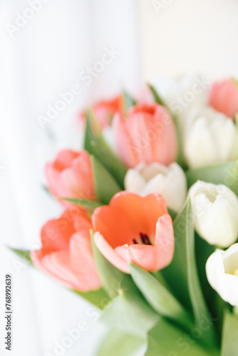 Red tulips in a white interior