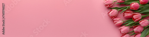 Pink tulips on pink background, flat lay banner with copy space © angelo sarnacchiaro