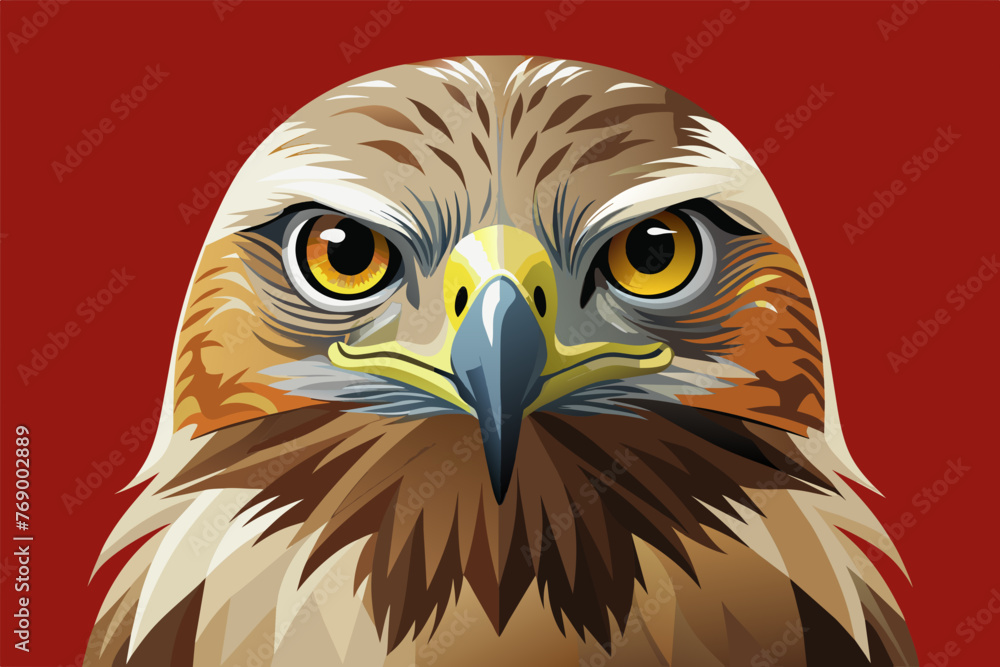 Frontal Head Study of a Ferruginous Hawk Frontal Head Study of a Ferruginous Hawk