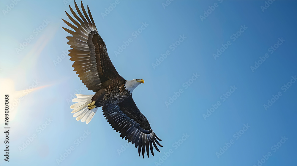 A majestic bald eagle soaring through a clear blue sky A majestic bald eagle soaring through a clear blue sky