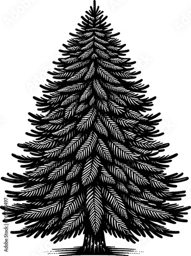 Black vector illustration on white background of a pine tree, detailed for winter or Christmas themes.