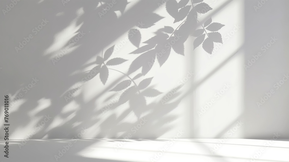 beautiful background for presentation minimalistic light with blurred foliage shadow on a white wall
