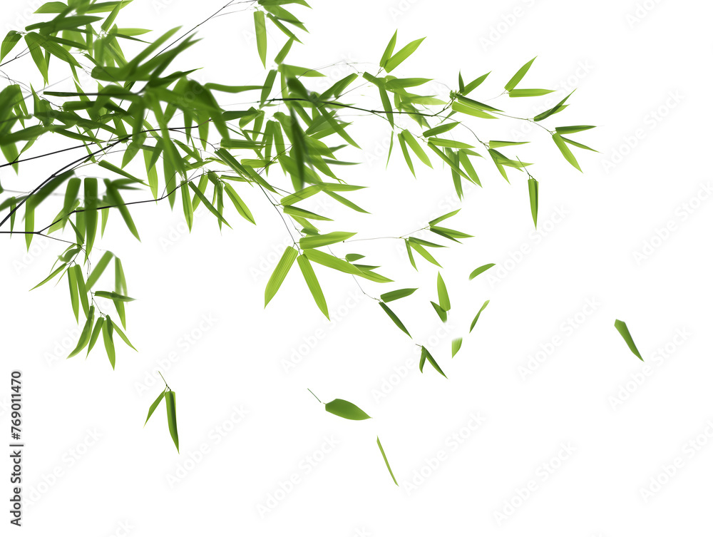 Serene Green Bamboo Leaves on a Pristine White Background Serene Green Bamboo Leaves on a Pristine White Background