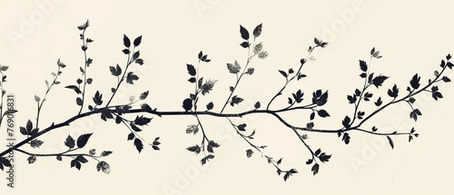 Elegant silhouette of floral vines  minimalist and chic  for sophisticated branding or packaging design  modern and stylish