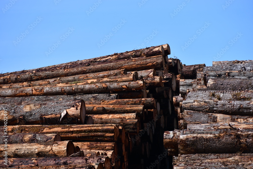 Log pile in log yard against bright blue sky. Log pile in log yard against bright blue sky.