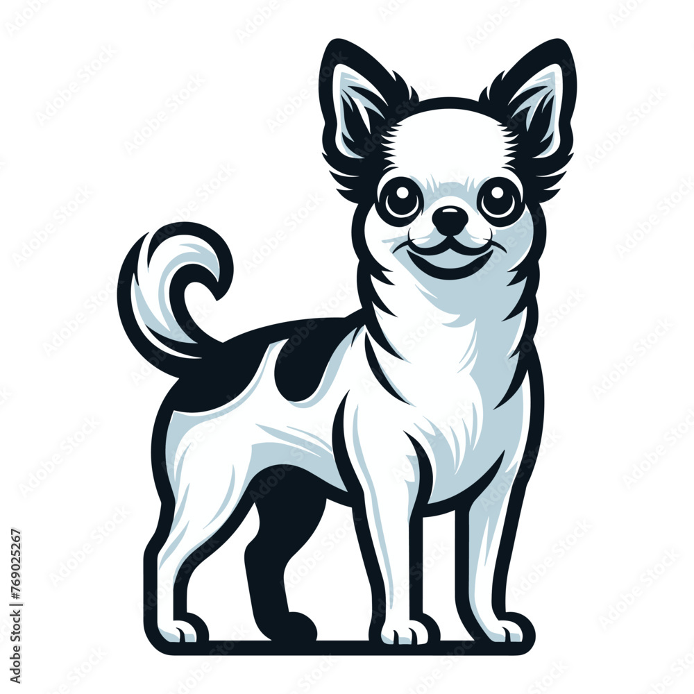 Cute chihuahua dog full body vector illustration, funny adorable pet animal, standing purebred chihuahua doggy flat design template isolated on white background