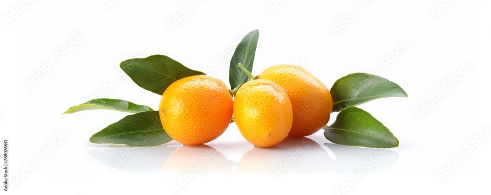 kumquat on a white background isolated. kumquat on a white background isolated.