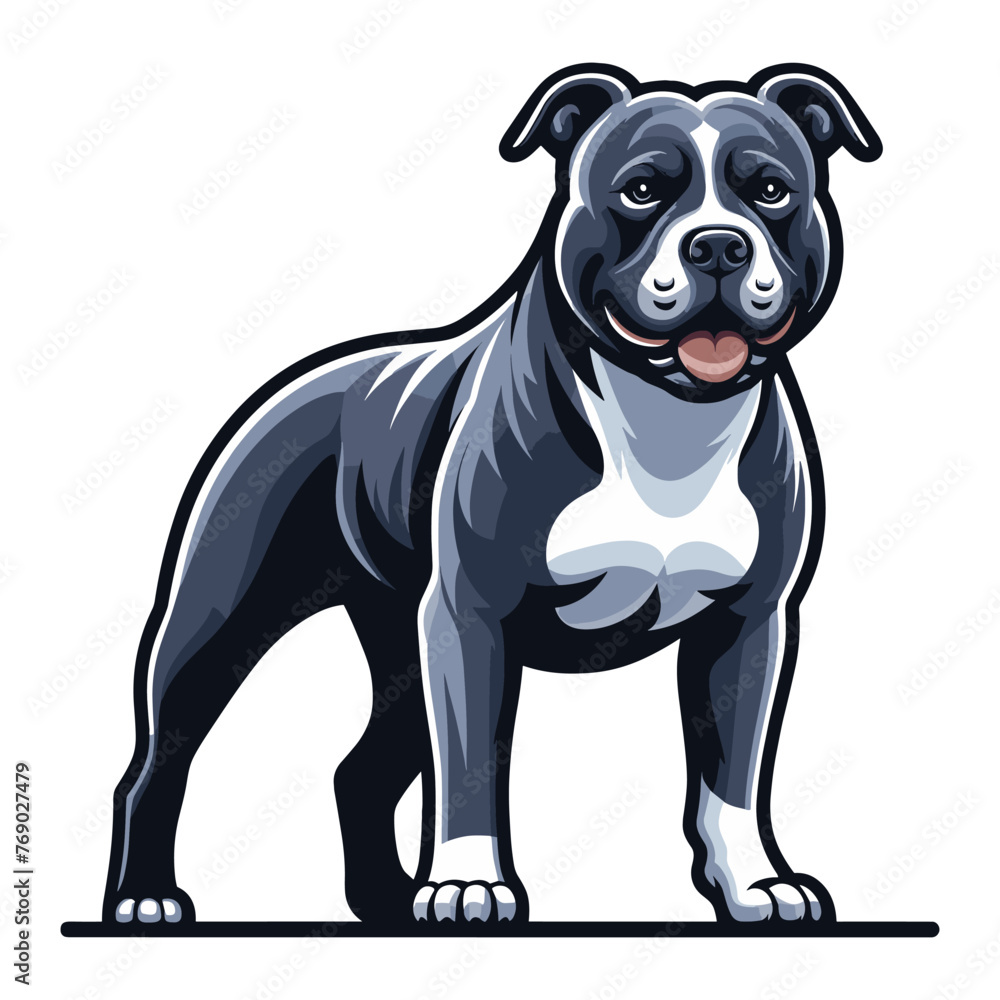 Pitbull bulldog full body design illustration, Full-length portrait of a standing animal pet pitbull terrier dog. Vector template isolated on white background