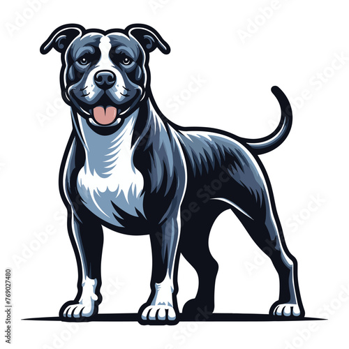 Pitbull bulldog full body vector illustration, Full-length portrait of a standing animal pet pitbull terrier dog. Design template isolated on white background