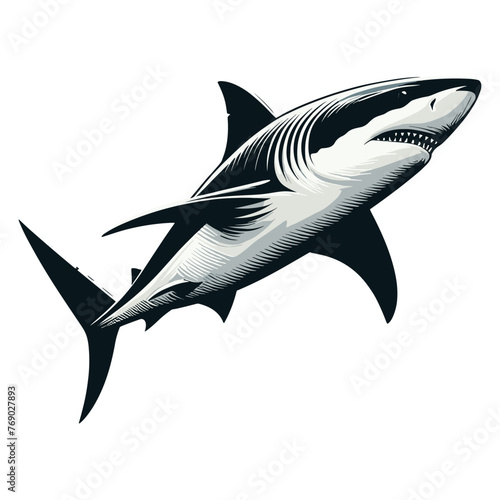 Wild great white shark design illustration, marine predator animal element illustration, swimming angry toothy shark vector template isolated on white background