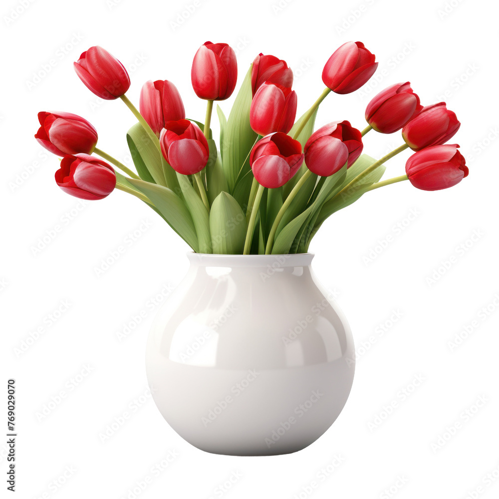 Beautiful red tulip flowers isolated on white or transparent background, png clipart, design element. Easy to place on any other background. Beautiful red tulip flowers isolated on white or transparent background, png clipart, design element. Easy to place on any other background.