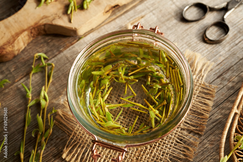 Preparation of gemmotherapeutic herbal tincture from young willow branches and buds harvested in spring photo