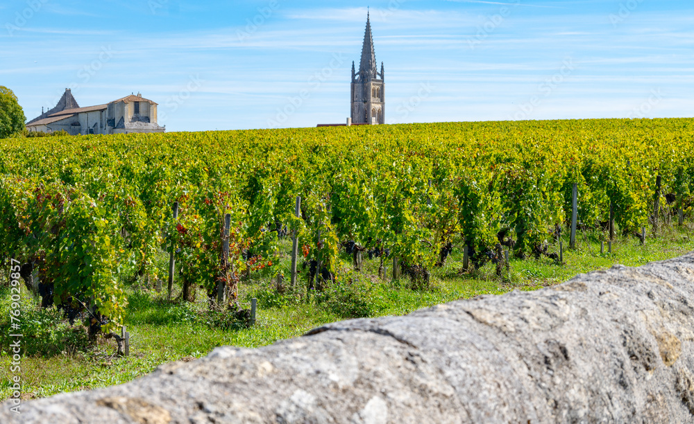 Vineyards near St. Emilion town, production of red Bordeaux wine, Merlot or Cabernet Sauvignon grapes on cru class vineyards in Saint-Emilion wine making region, France, Bordeaux