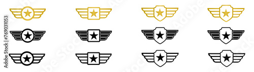 Wing with star icon. set of gold badge with star Military badge. Army wings symbol. Stock vector eps10