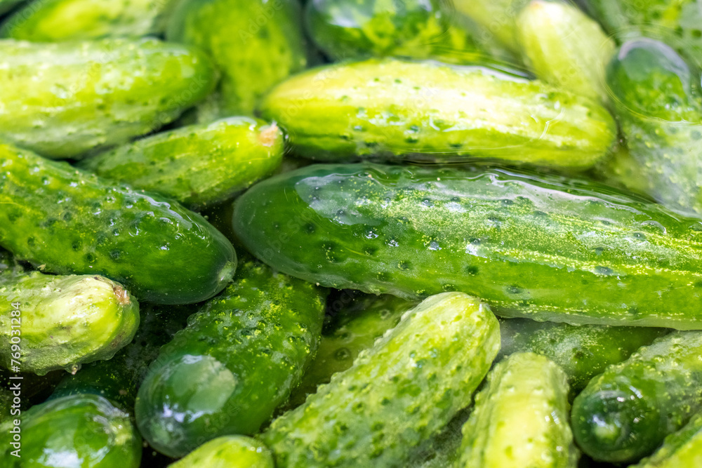 Green juicy cucumbers in water Green juicy cucumbers in water