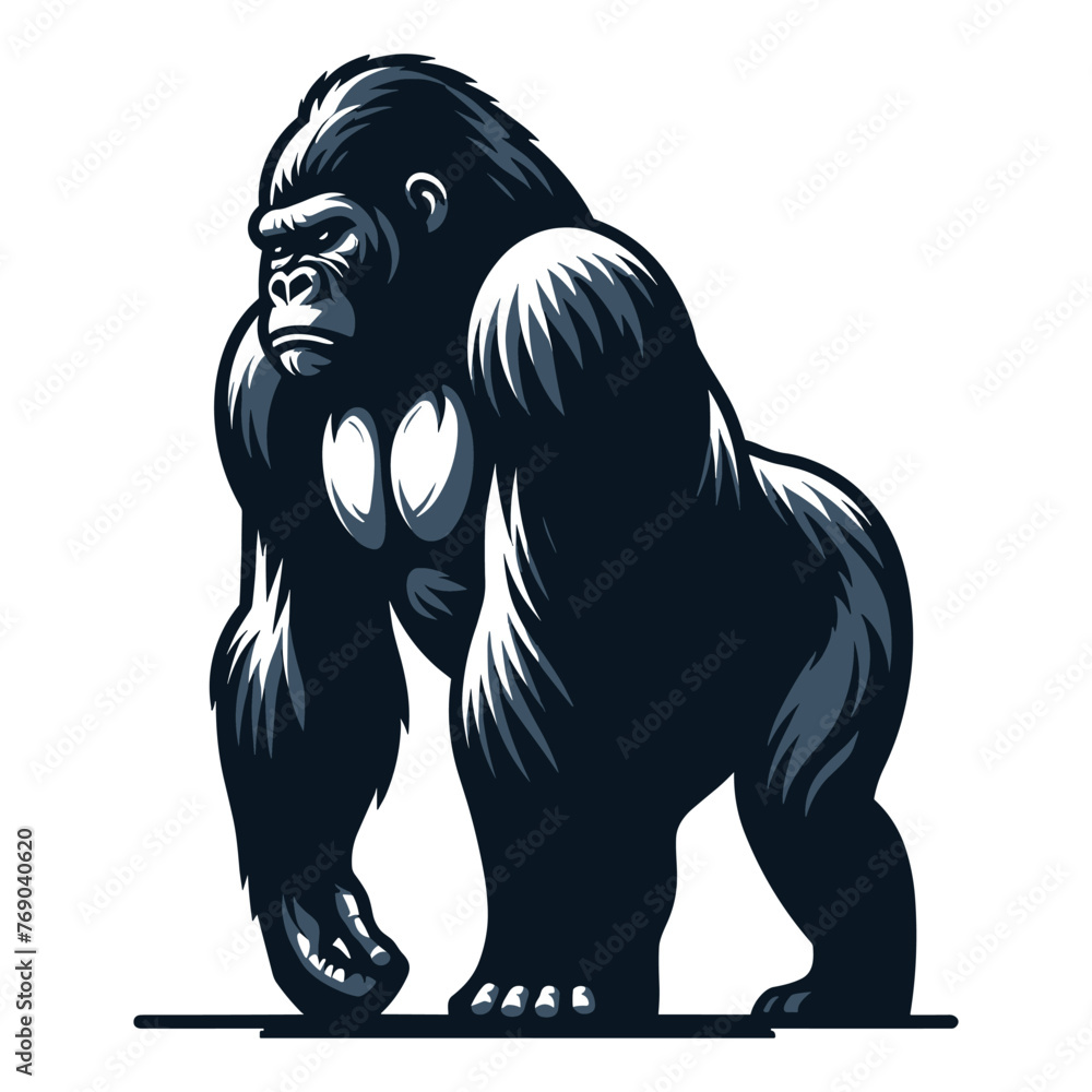 Wild gorilla full body vector illustration, primate animal zoology element illustration, standing strong big ape concept, design template isolated on white background