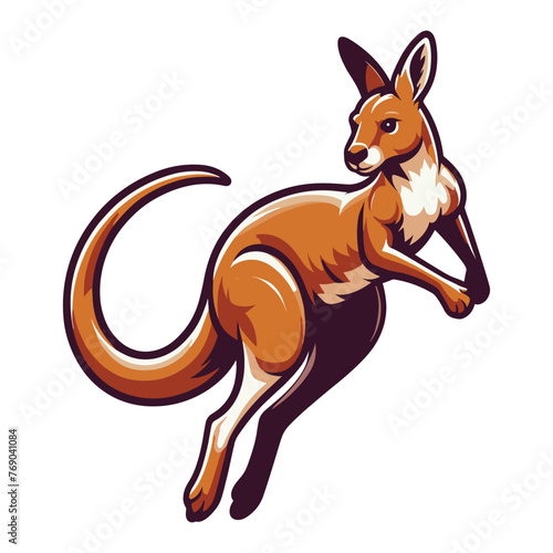 Kangaroo full body vector illustration  Australian mammal animal mascot character  wildlife zoology illustration. Design template isolated on white background