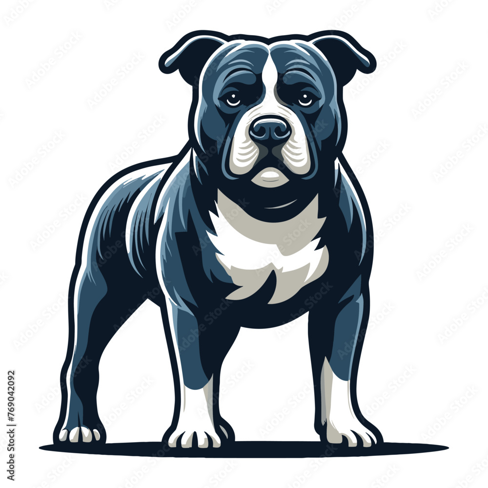 Pitbull bulldog full body vector illustration, Full-length portrait of a standing animal pet pitbull terrier dog. Design template isolated on white background Pitbull bulldog full body vector illustration, Full-length portrait of a standing animal pet pitbull terrier dog. Design template isolated on white background