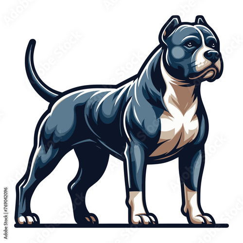 Pitbull bulldog full body vector illustration, Full-length portrait of a standing animal pet pitbull terrier dog. Design template isolated on white background