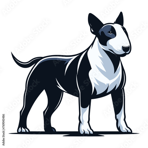 Bull terrier dog full body vector illustration  cute adorable funny pet animal  standing purebred dog concept design template isolated on white background