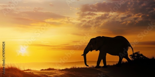 Safari at sunset with an elephant silhouette, capturing the wild beauty of nature, ideal for travel and conservation topics.