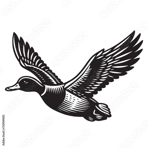 Wild duck in flight in the sky. Beautiful vintage engraving vector illustration, icon, logo	