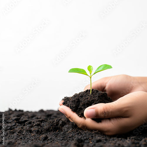 Hands holding a green plant with soil isolated on white background with copy space.