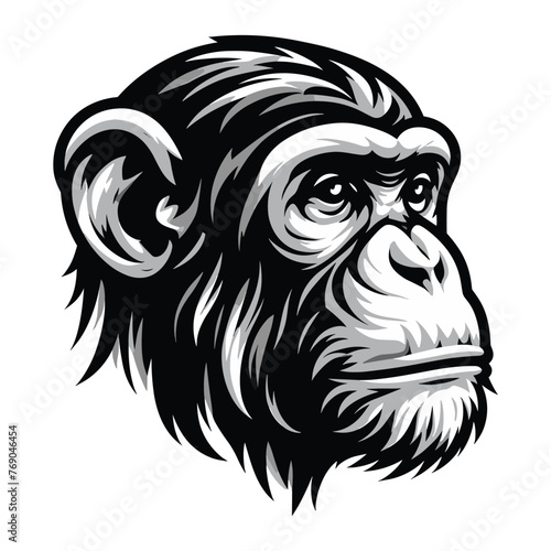 Monkey ape chimpanzee head face vector illustration, wild animal primate, monkey logo mascot illustration concept, design template isolated on white background