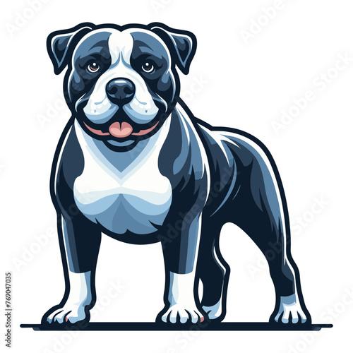 Pitbull bulldog full body vector illustration, Full-length portrait of a standing animal pet pitbull terrier dog. Design template isolated on white background © lartestudio