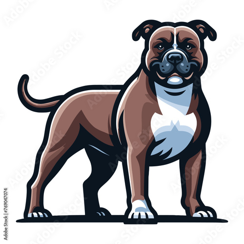 Pitbull bulldog full body design illustration, Full-length portrait of a standing animal pet pitbull terrier dog. Vector template isolated on white background