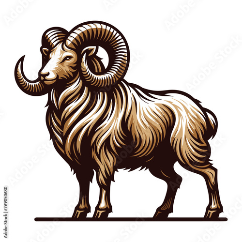 Horned ram bighorn sheep full body vector illustration, animal livestock, farm pet, agriculture concept, butchery meat shop element design isolated on white background