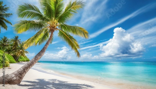 Beautiful palm tree on tropical island beach on background blue sky with white clouds and turquoise ocean on sunny day. Perfect natural landscape for summer vacation