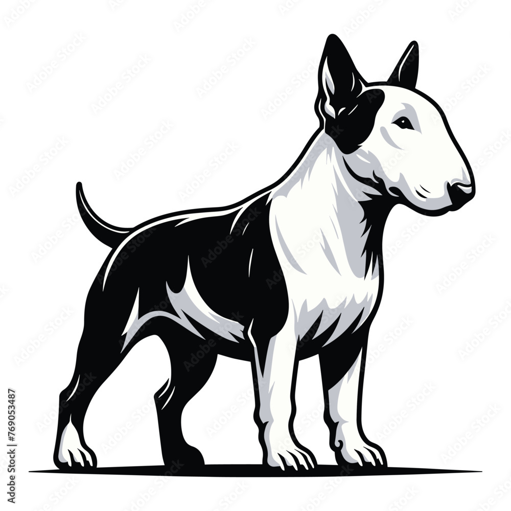 Bull terrier dog full body design illustration, standing purebred dog concept, cute adorable funny pet animal vector template isolated on white background